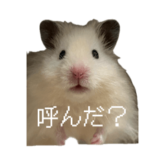 poteco_20260421230413