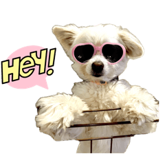 Coco mama_20260421231436