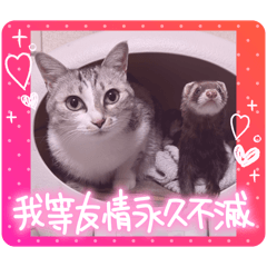 sabachikuwa_20260421231217