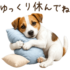 A Jack Russell Terrier for Every Season