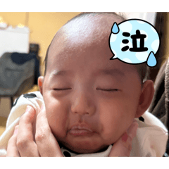 punichan_20260422090736