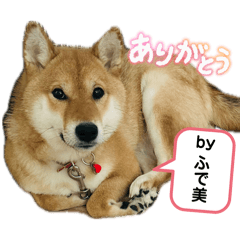 maama_20260422124514