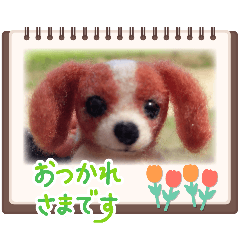 Taachan_20260418171529