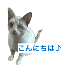 daisuke.y_20260422111429