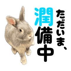 azukichi_20260422133051