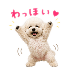 ma00ma_20260422132850