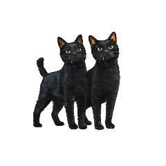 nanatohachi_20260422131011