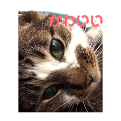 TSUKAMOTO_20260422134023