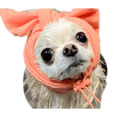 monako3_20260422134105