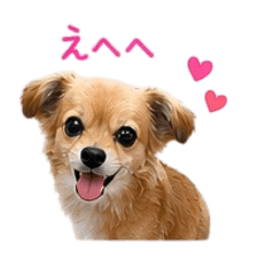 StrawberryTalt_20260422133443