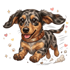 Hello.My Name Is SABO.