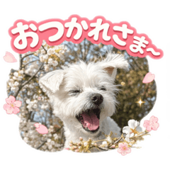 Naoya_20260418181806