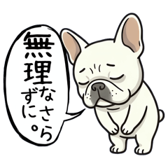 Gentle & Caring French Bulldog