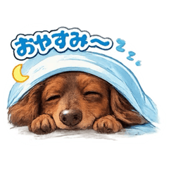 Hachi_20260422134937