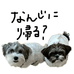 madokin_20260422135429