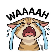 Somjeed_20260421163925