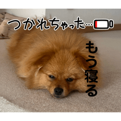 tukushi_20260422142132