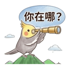 相約等待必備！玄鳳鸚鵡實用貼圖