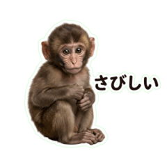 Baby Monkey Japanese Greeting 16