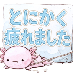 Relaxed and Apathetic Axolotl