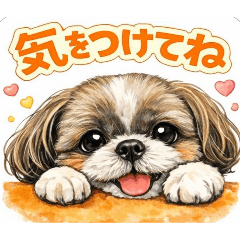 Miya&Rin_20260421172258