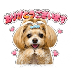 pafoKEN5_20260421184550