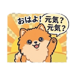 "Pomeranian-type"guy