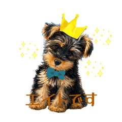 maachon_20260421194057