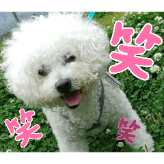 Mugi funny_20260421195858