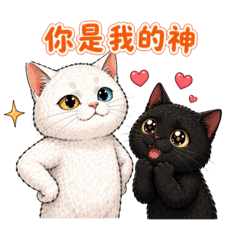 冒冒&小五貓咪人生(二)