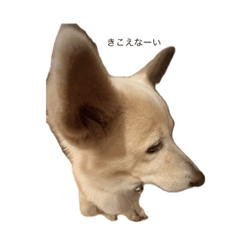 Power_20260422143347