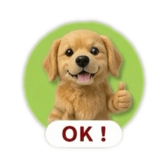 Shaboz_20260422144146z