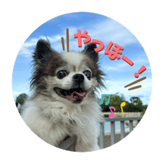 misaki_20260422144804