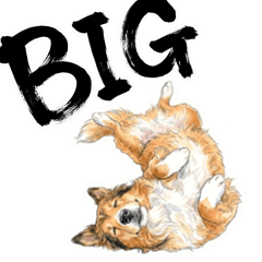 Every day with a Rough Collie