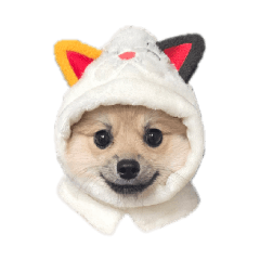 hidamari_20260421213729