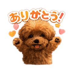 Chicochan_nichijo