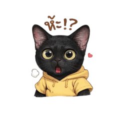 backcat_20260421183110