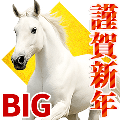 Horse Photo Stickers for the New Year's.