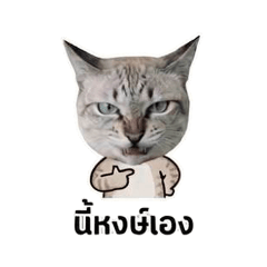 Nowadays_20260421190316