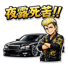 VIP Car Bro Stickers