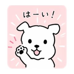 roron_20260421235654