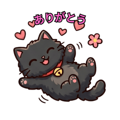 Mof-Black Meow