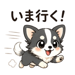 Chihuahua Stickers | Quick Reply