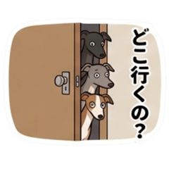 L.ovedog_20260422072002