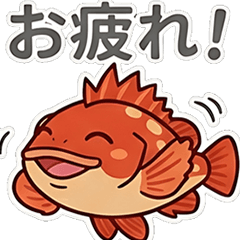 Rockfish (Gashira-Sai)