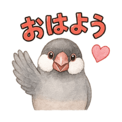 Puku Puku Java Sparrow Talk