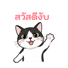 Bluehaz420_20260421200820