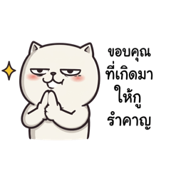 babycute_20260421201531