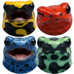 各種毒箭蛙真人表演