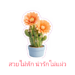 Cherry_20260421202841